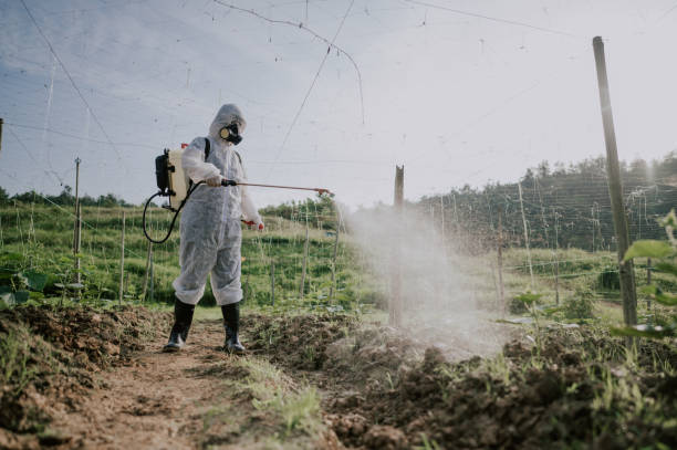 Best Best Pest Control Companies  in Mante, CA