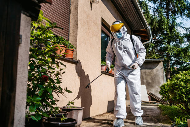 Trusted Manteca, CA Pest Control Experts