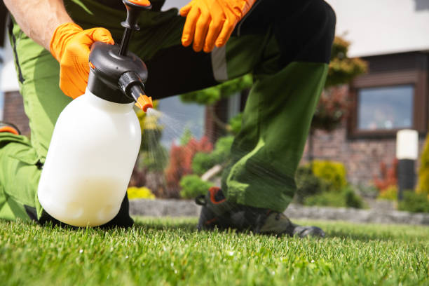 Best Exterminator Services  in Mante, CA