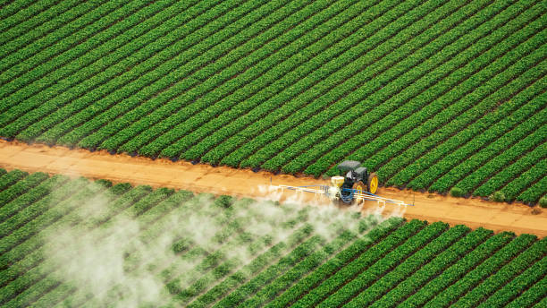 Best Pest Inspection Near Me  in Mante, CA