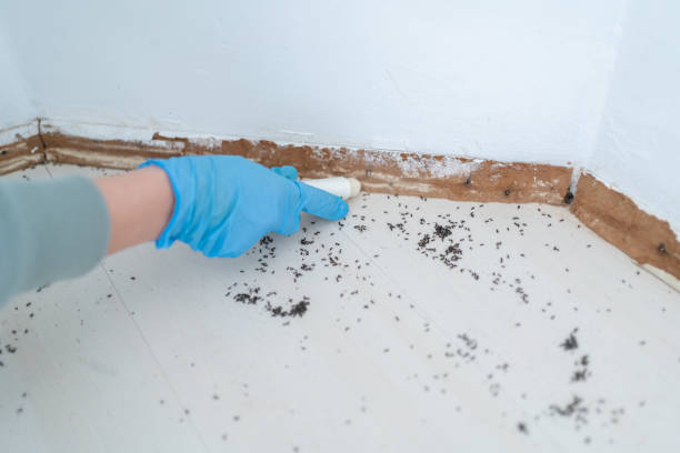 Best Wildlife Control Services  in Mante, CA